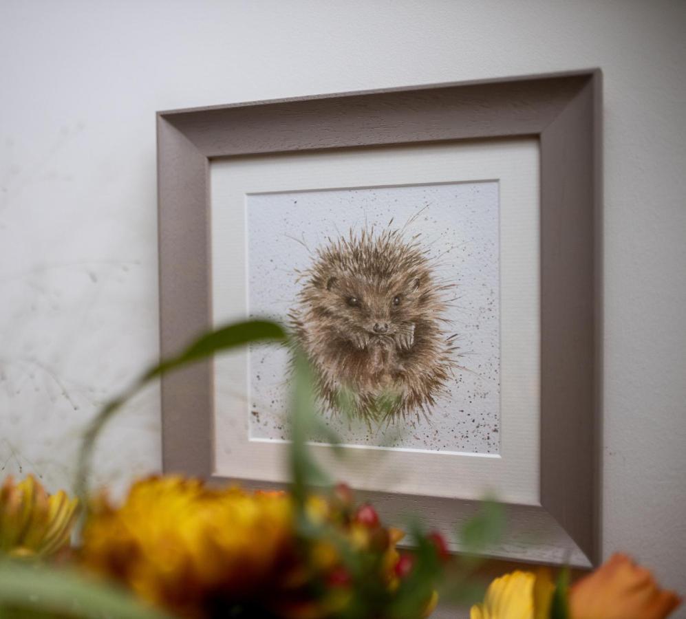 Dandelion * Carlisle (Cumbria)